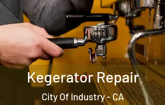 Kegerator Repair City Of Industry - CA