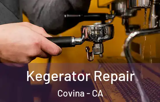  Kegerator Repair Covina - CA