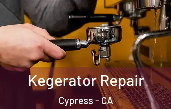  Kegerator Repair Cypress - CA