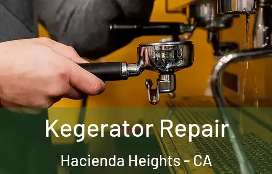  Kegerator Repair Hacienda Heights - CA