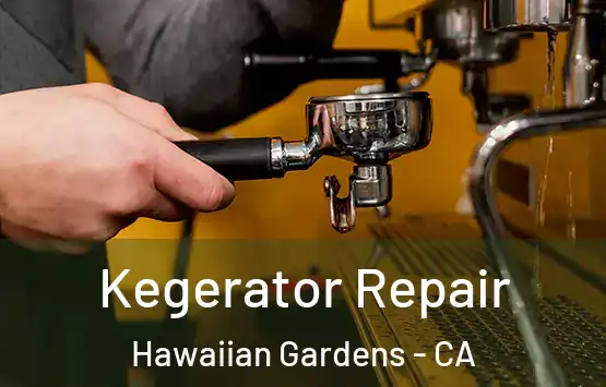 Kegerator Repair Hawaiian Gardens - CA