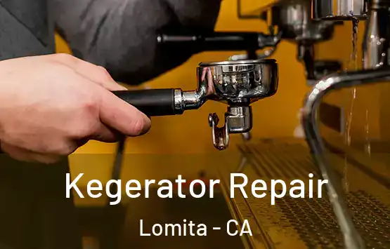  Kegerator Repair Lomita - CA
