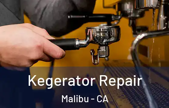  Kegerator Repair Malibu - CA
