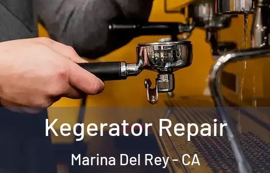  Kegerator Repair Marina Del Rey - CA