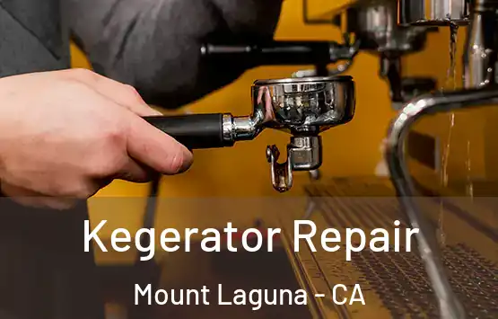  Kegerator Repair Mount Laguna - CA