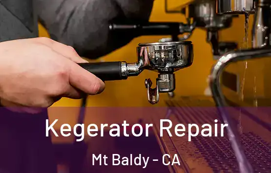  Kegerator Repair Mt Baldy - CA