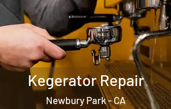  Kegerator Repair Newbury Park - CA