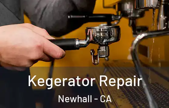  Kegerator Repair Newhall - CA
