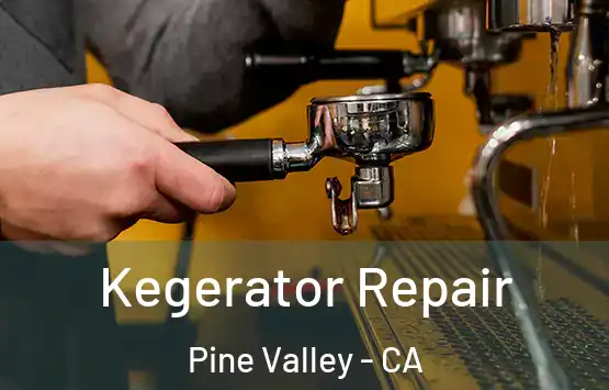  Kegerator Repair Pine Valley - CA