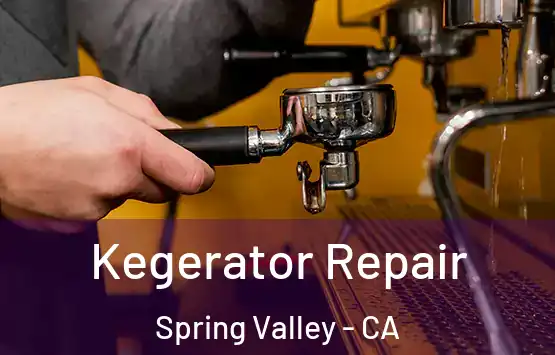  Kegerator Repair Spring Valley - CA