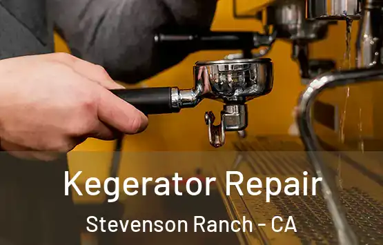  Kegerator Repair Stevenson Ranch - CA