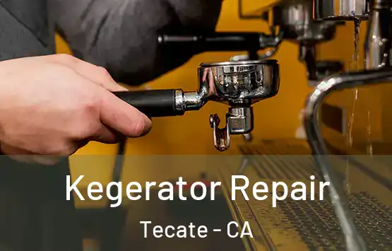  Kegerator Repair Tecate - CA