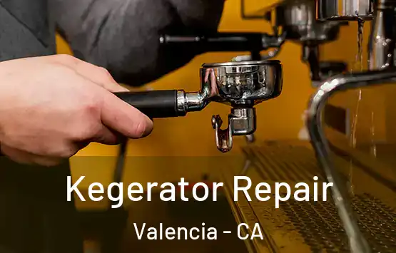  Kegerator Repair Valencia - CA