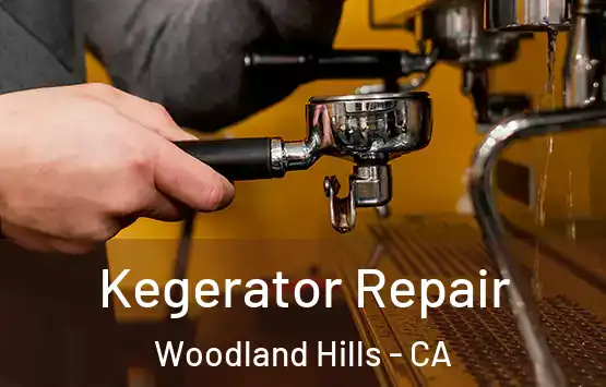  Kegerator Repair Woodland Hills - CA