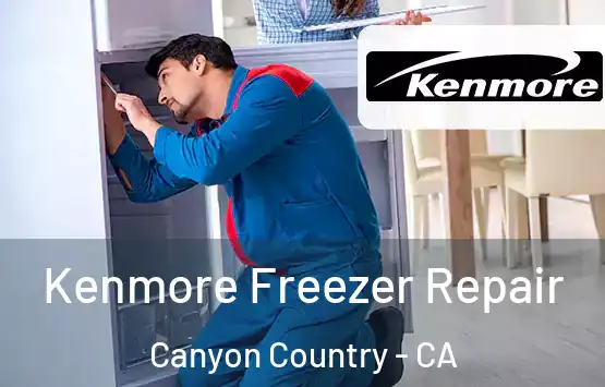  Kenmore Freezer Repair Canyon Country - CA