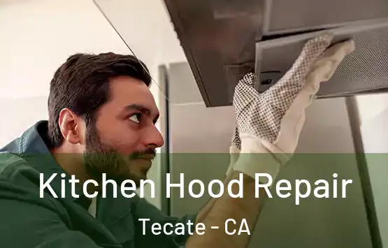  Kitchen Hood Repair Tecate - CA