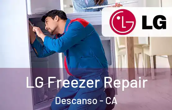  LG Freezer Repair Descanso - CA