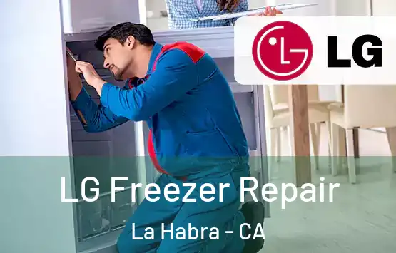  LG Freezer Repair La Habra - CA