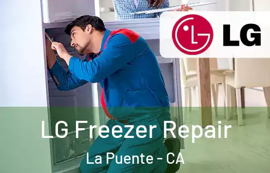  LG Freezer Repair La Puente - CA
