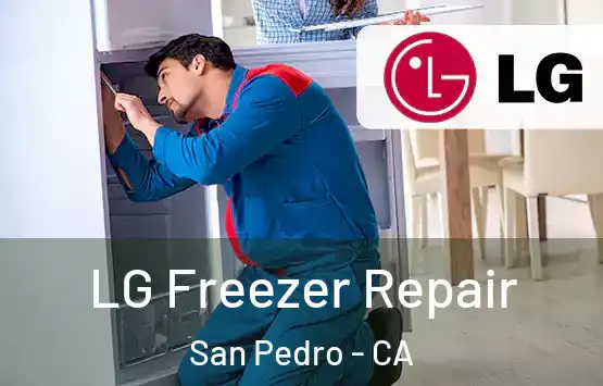  LG Freezer Repair San Pedro - CA