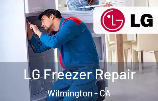  LG Freezer Repair Wilmington - CA