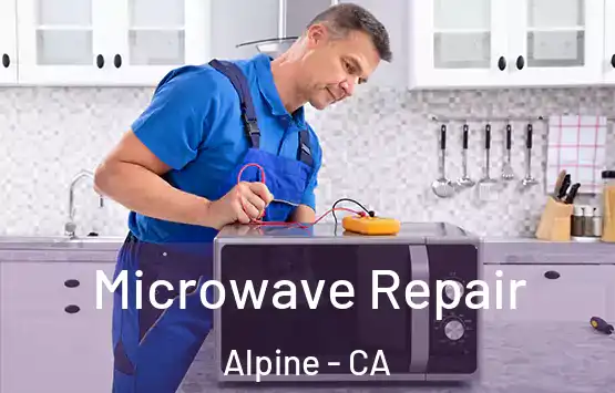  Microwave Repair Alpine - CA