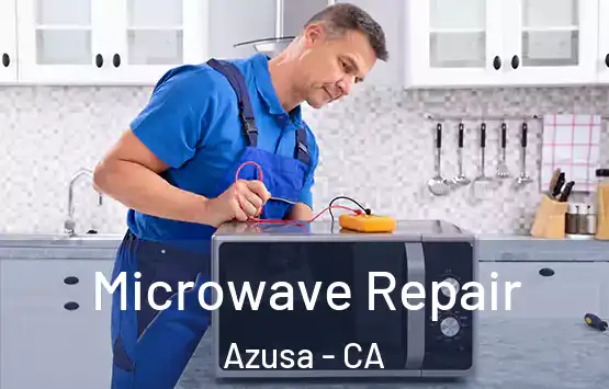  Microwave Repair Azusa - CA