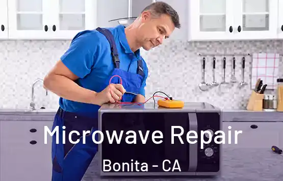  Microwave Repair Bonita - CA