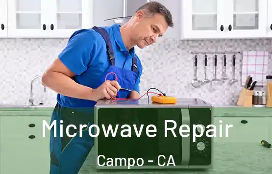  Microwave Repair Campo - CA