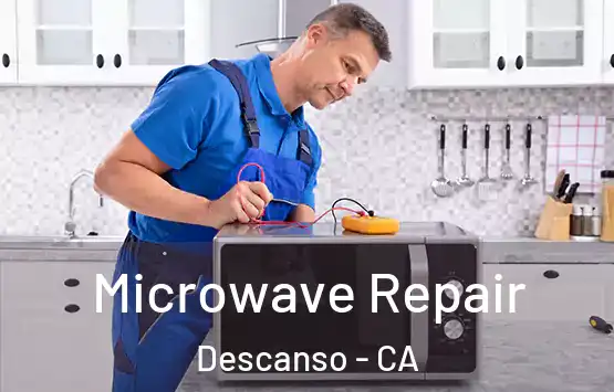  Microwave Repair Descanso - CA