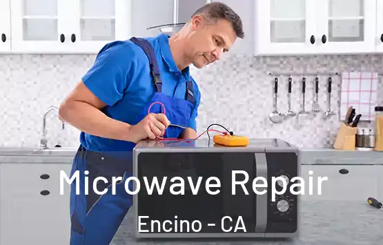  Microwave Repair Encino - CA