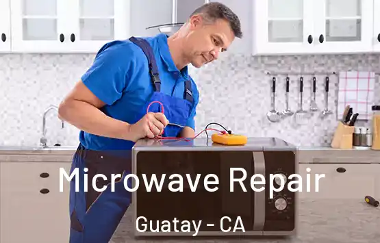  Microwave Repair Guatay - CA