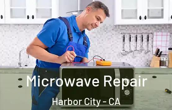  Microwave Repair Harbor City - CA