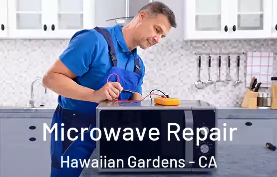  Microwave Repair Hawaiian Gardens - CA
