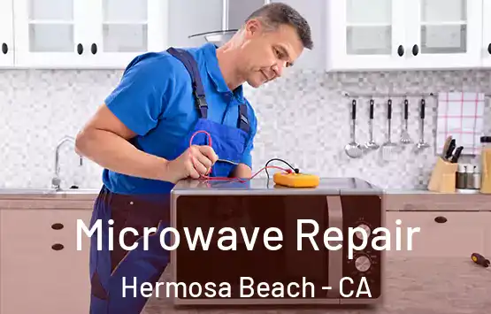  Microwave Repair Hermosa Beach - CA