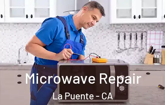  Microwave Repair La Puente - CA