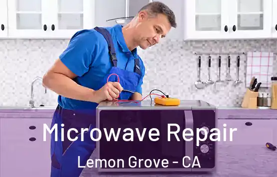  Microwave Repair Lemon Grove - CA