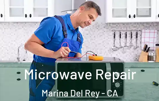  Microwave Repair Marina Del Rey - CA