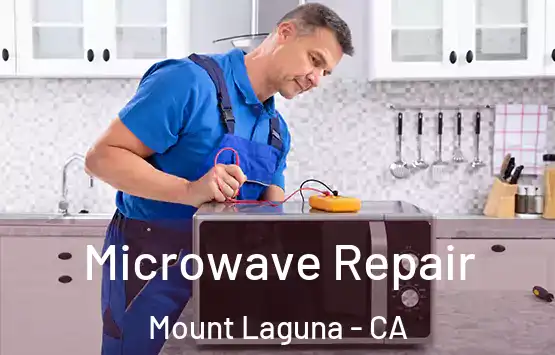  Microwave Repair Mount Laguna - CA