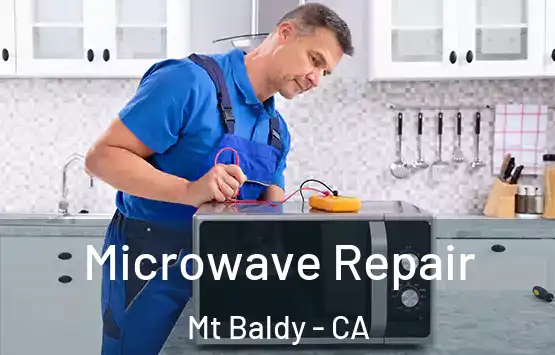 Microwave Repair Mt Baldy - CA