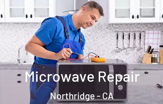  Microwave Repair Northridge - CA