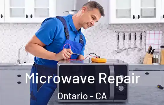  Microwave Repair Ontario - CA