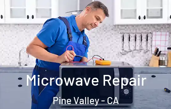  Microwave Repair Pine Valley - CA