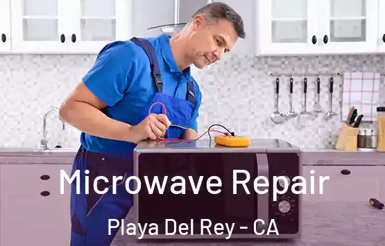  Microwave Repair Playa Del Rey - CA