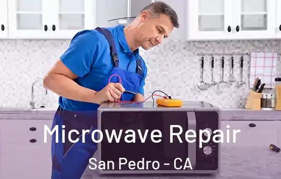  Microwave Repair San Pedro - CA
