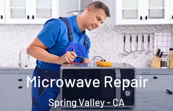  Microwave Repair Spring Valley - CA