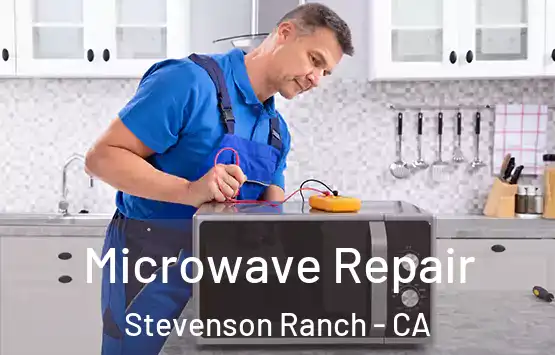  Microwave Repair Stevenson Ranch - CA