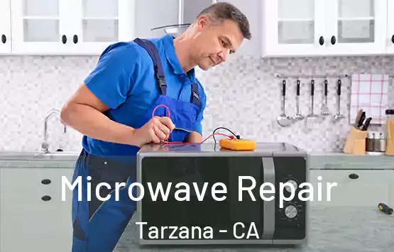  Microwave Repair Tarzana - CA