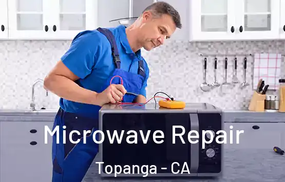  Microwave Repair Topanga - CA