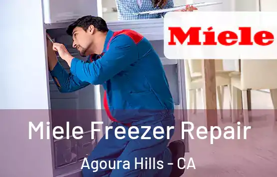  Miele Freezer Repair Agoura Hills - CA